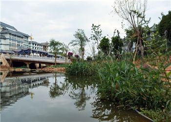 云南省骨伤科中等专业学校2023年三年制中专专业有哪些