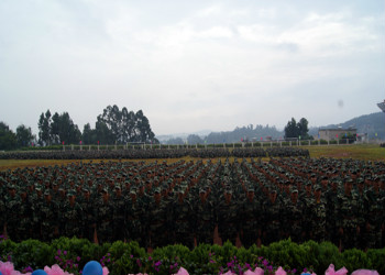 昆明新兴职业学院2023年春季中专专业设置