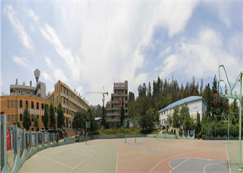 云南林业技工学校2023年三年制招生专业