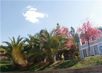 云南林业技工学校2023年中专招生方法