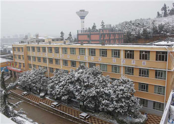 云南林业技校2023年招生分数线是多少