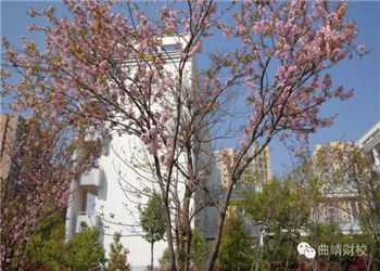 曲靖财经学校2023年普通中专招生什么时候结束