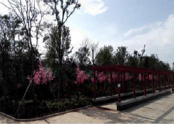 曲靖幼儿师范职业学校2023年三年制报名入口