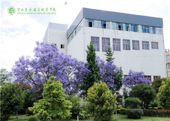 云南省健康医药职业学院2023年普通中专热门专业