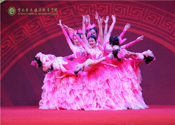 云南省医药健康职业学校2023年三年制中专重点专业