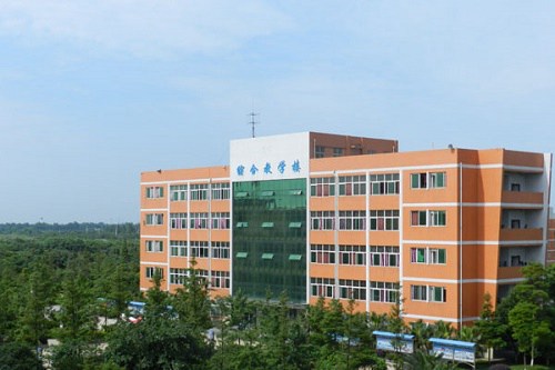 成都东星航空旅游专修学院报名条件是什么