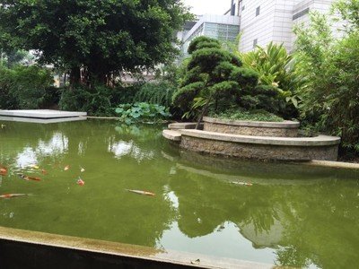 自贡市永安职业中学图片