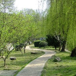 自贡市飞鱼职业学校图片