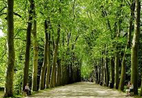 岳池白庙职业中学校图片