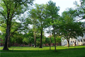 宜宾叙州区高场职业技术学校图片