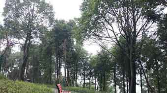 宜宾南亚电子职业技术学校图片