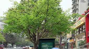 宜宾南亚电子职业技术学校图片