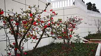 绵阳灵通电气技工学校图片