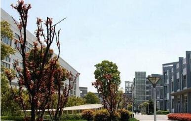 蓬安县巨龙职业中学图片