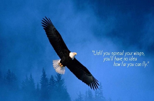 石家庄白求恩医学中等专业学校招生专业有哪些?有中医康复保健专业吗?