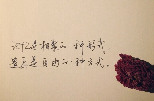 石家庄华强铁路工程中等专业学校有内燃机车运用与检修专业吗?