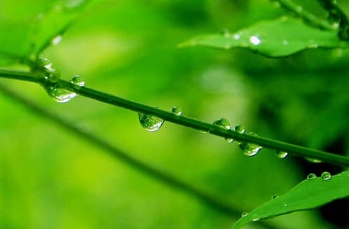 重庆江南职业学校有园林绿化专业吗?