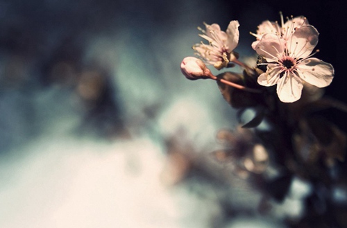 首钢工学院有没有冶金技术专业?