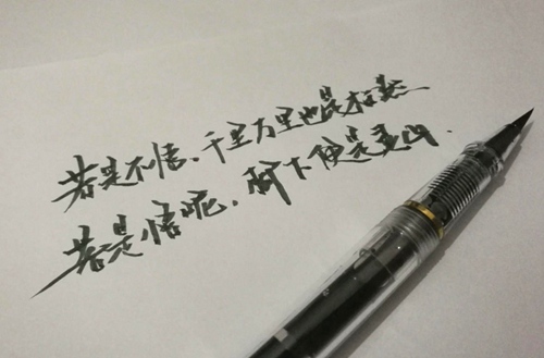 中国政法大学有什么专业?有国际政治专业吗?