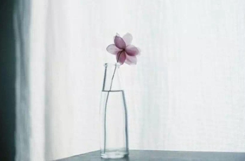 任县职教中心有哪些专业?有英语专业吗?