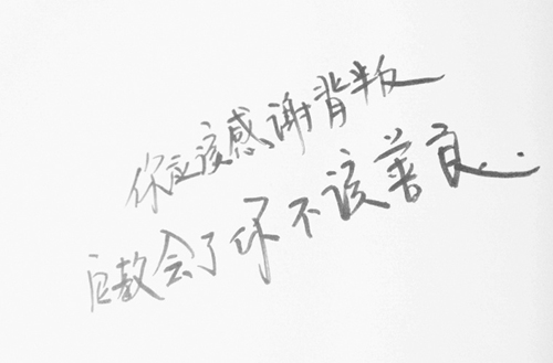 辽宁轻工职业学院有什么专业?有旅游管理专业吗?