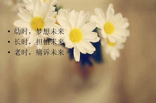 河北对外经贸职业学院有没有美术专业?