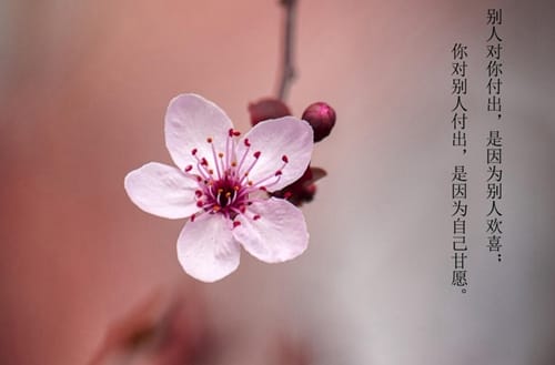 运城信息工程学校有物流管理专业吗?