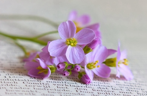 重庆工程职业技术学院招生专业有哪些?有计算机控制技术专业吗?