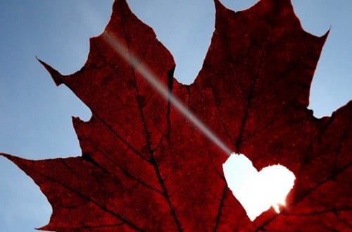 重庆经济贸易学校有电子商务专业吗?