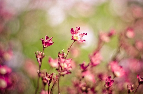 太原风雨潮文化艺术学校有哪些专业?有戏剧表演专业吗?