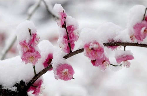 大同新火职业学校有什么专业?有机电一体化专业吗?