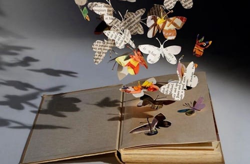 大连枫叶职业技术学院招生专业有哪些?有珠宝首饰工艺及鉴定专业吗?