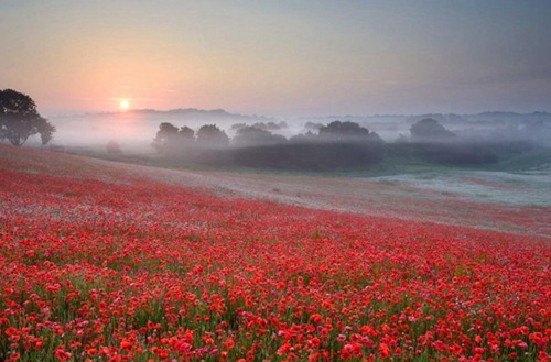 辽宁科技大学有汽车检测与维修技术专业吗?