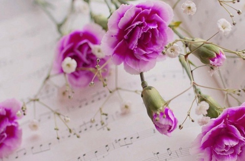 辽宁装备制造职业技术学院有什么专业?有软件技术专业吗?