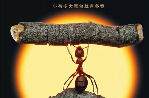 汾阳高级职业中学有什么专业?有会计电算化专业吗?