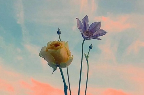 承德华中管理中专学校有机械加工专业吗?