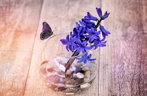 石家庄职业技术学院有电气工程技术专业吗?