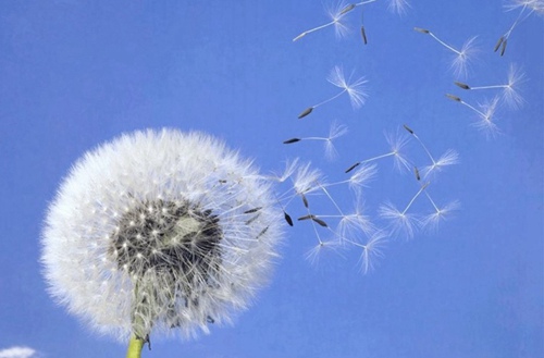 辽宁机电职业技术学院有哪些专业?有宝玉石鉴定与加工技术专业吗?