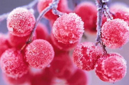 邯郸职业技术学院有什么专业?有会计与统计核算专业吗?