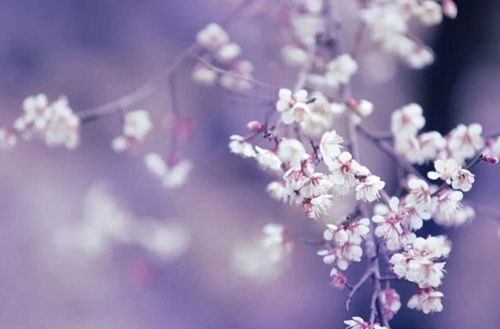 阜新高等专科学校招生专业有哪些?有会计电算化专业吗?