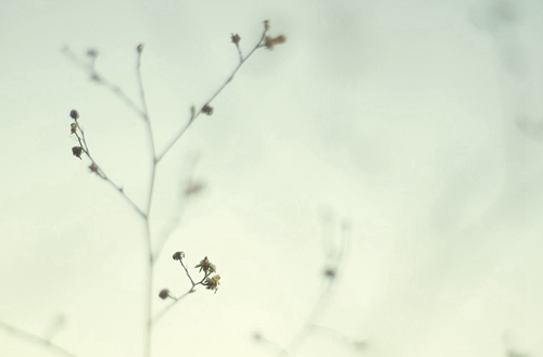 重庆涪陵创新计算机学校有没有计算机及应用专业?