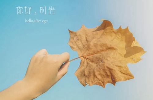 河北交通职业技术学校招生专业有哪些?有汽车运用与维修专业吗?