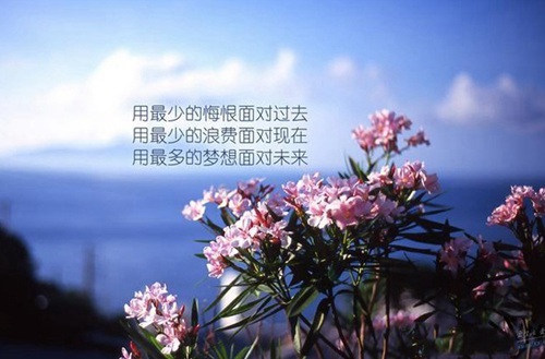 大同文化艺术学校有哪些专业?有美术专业吗?