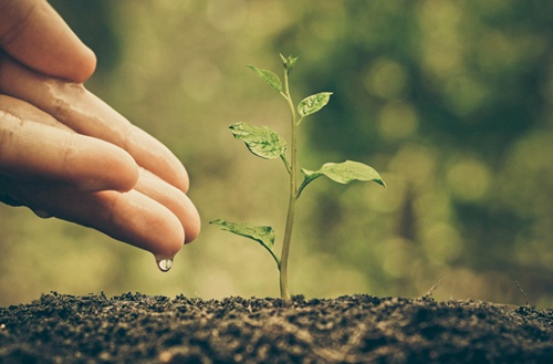 大连医科大学附属卫生学校招生专业有哪些?有护理专业吗?