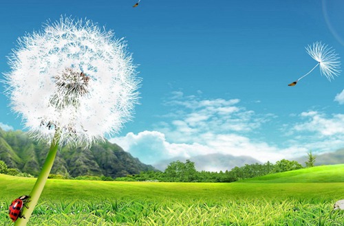 重庆轻工业学校有什么专业?有物流管理专业吗?