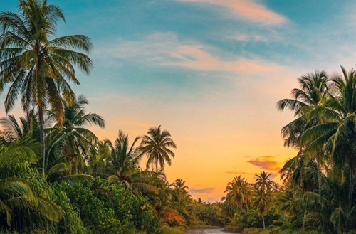 吕梁会计学校有会计专业吗?