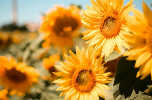 北京联合大学有没有工商管理类专业?