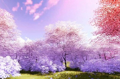 太原盲童学校有计算机应用专业吗?