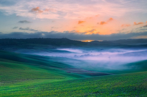 石家庄华夏科技职业中等专业学校有什么专业?有机电技术应用专业吗?