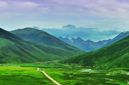 衡水衡沧影视武术艺术学校招生专业有哪些?有播音与主持艺术专业吗?